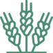 ico_1 ico_1