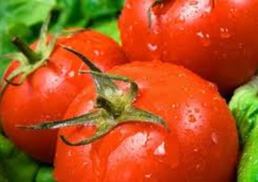 Субвенции за доматите од 7ден