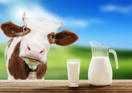 Субвенции за предадено млеко