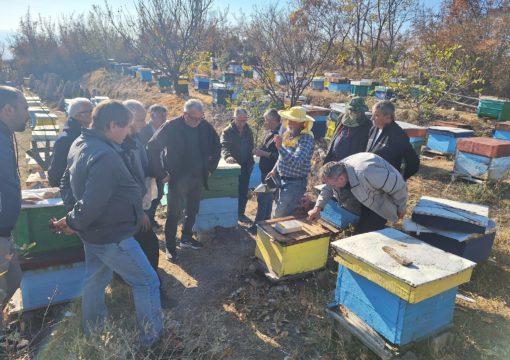 РАБОТИЛНИЦА бр.3 – Палазлија