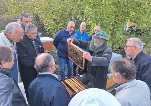 РАБОТИЛНИЦА бр. 2 – с.Вадоча