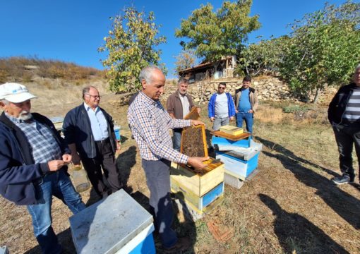 Работилница бр.1 – ХАМЗАЛИ